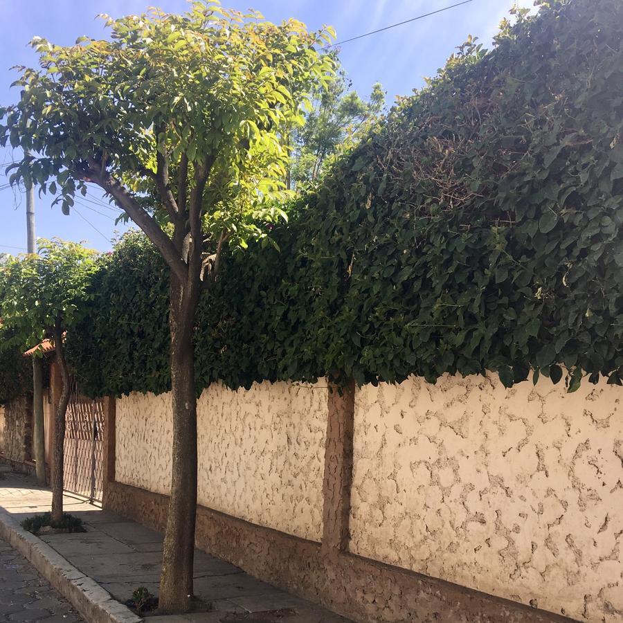 Apartamento Con Jardin 科恰班巴 外观 照片